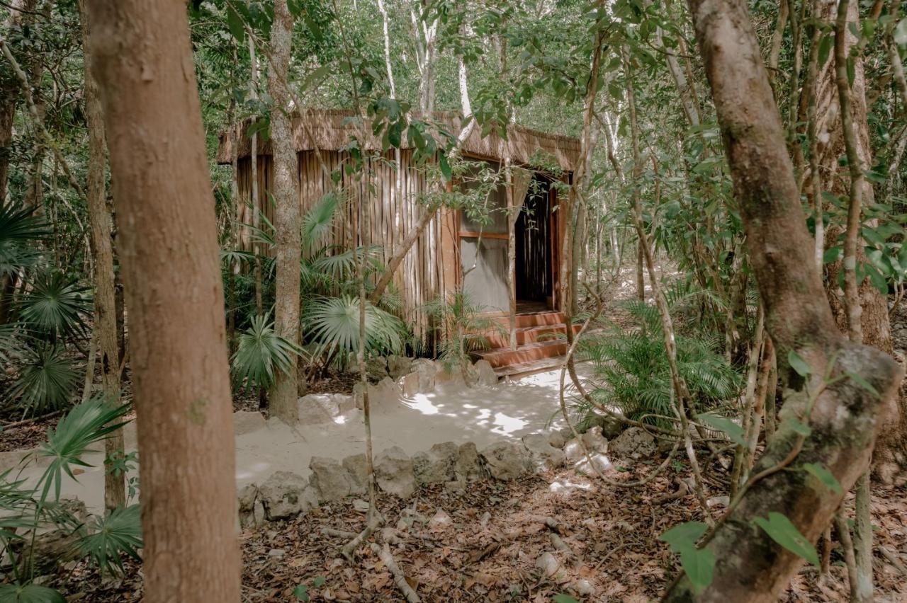 Naum - Secluded Villa With Private Cenote Tulum Ngoại thất bức ảnh