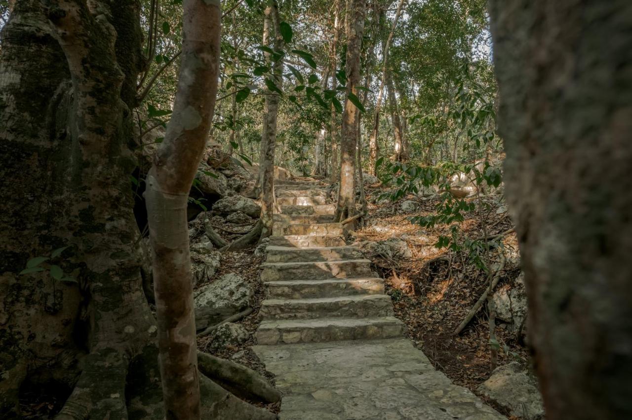 Naum - Secluded Villa With Private Cenote Tulum Ngoại thất bức ảnh