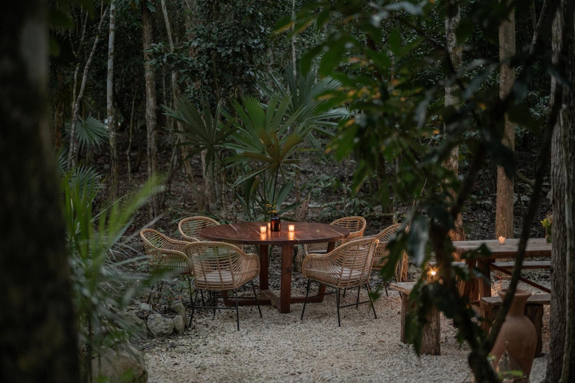 Naum - Secluded Villa With Private Cenote Tulum Ngoại thất bức ảnh