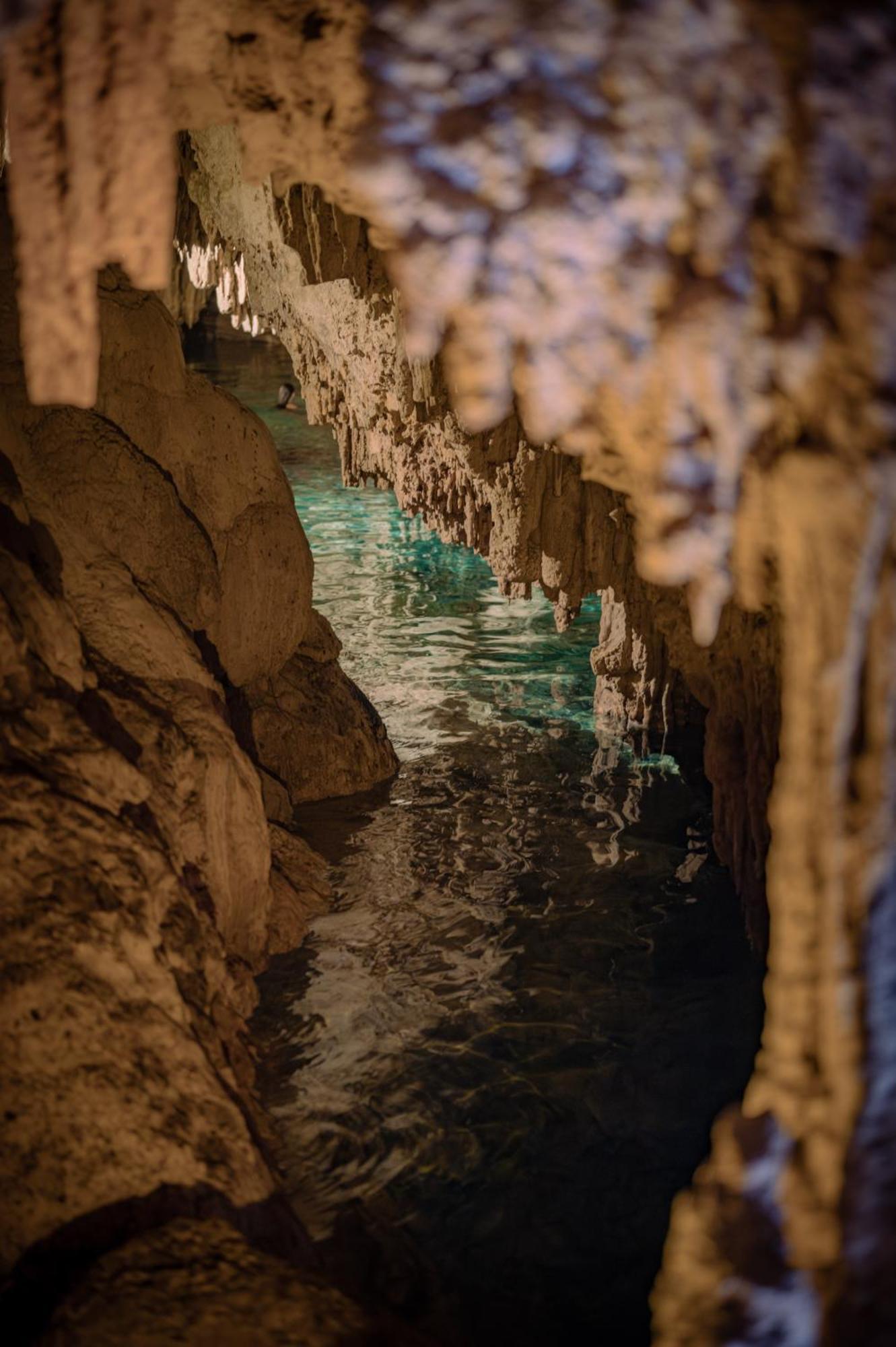 Naum - Secluded Villa With Private Cenote Tulum Ngoại thất bức ảnh
