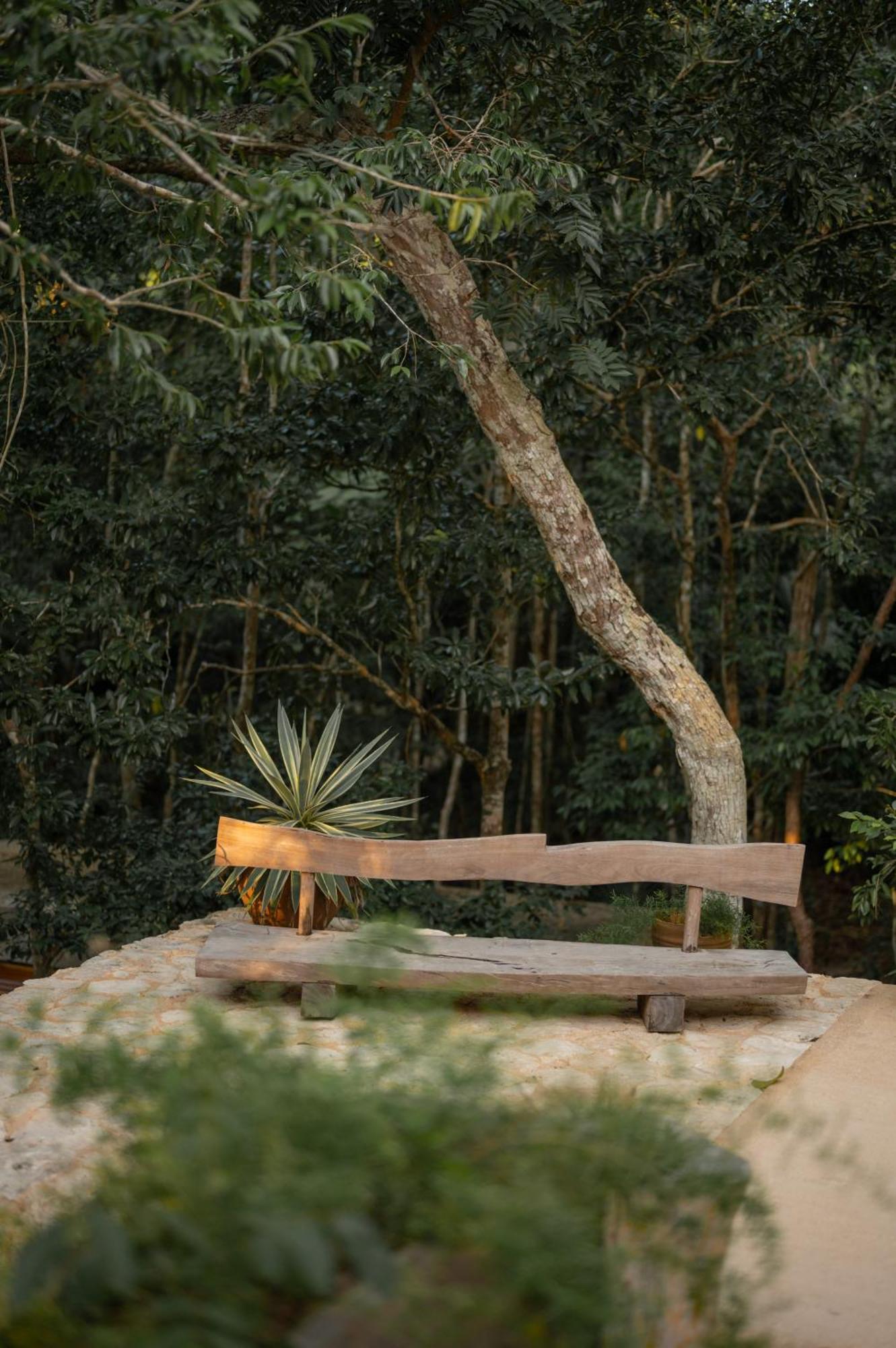 Naum - Secluded Villa With Private Cenote Tulum Ngoại thất bức ảnh